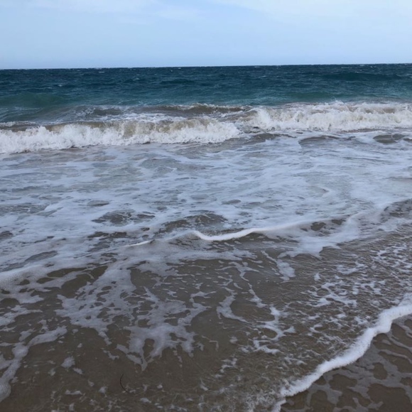 Meet your Posher, Taylor - Picture 1 of 1